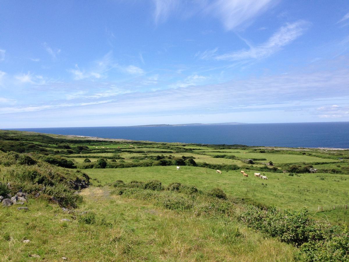 Wild Atlantic Breeze Guesthouse Doolin Luaran gambar